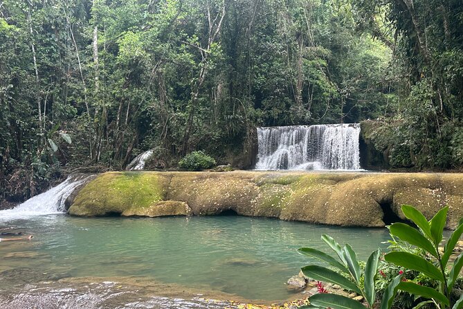 Black River Safari and YS Water Falls - Who will enjoy this outing most?