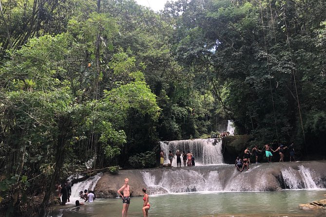 Black River Safari, YS Falls and Appleton Estate - Appleton Estate and the story of Jamaican rum