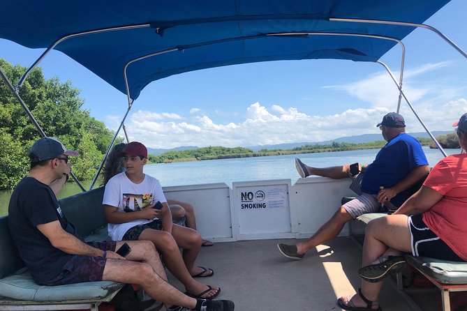 Black River Safari, YS Falls and Floyd's Pelican Bar - Timing, comfort, and practical limits
