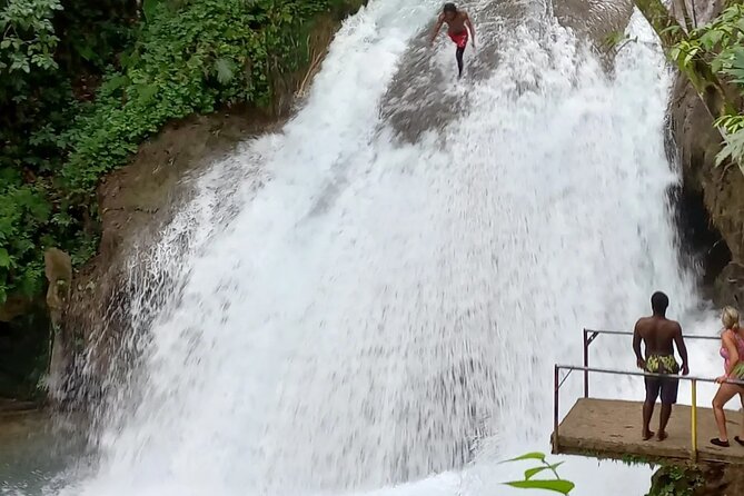 Blue Hole Adventure Ocho Rios. - The Blue Hole’s tea garden detail