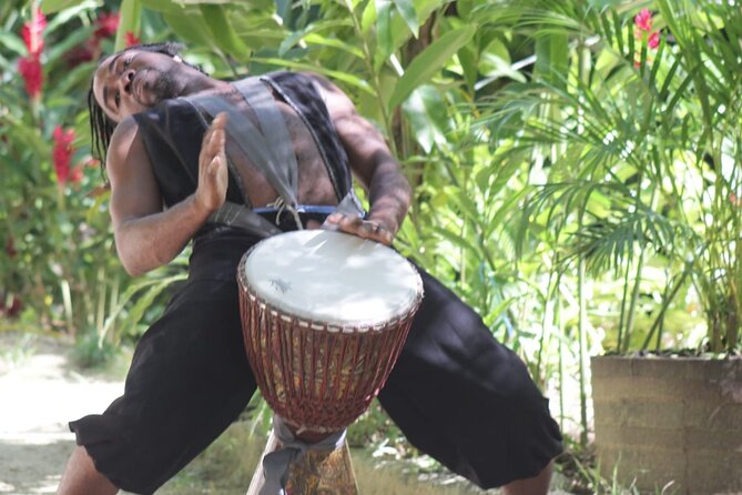 Blue Hole and Dunn’s River Falls Tour with Lunch and Cocktails at Reggae Hill - What the $159 price includes in practical terms