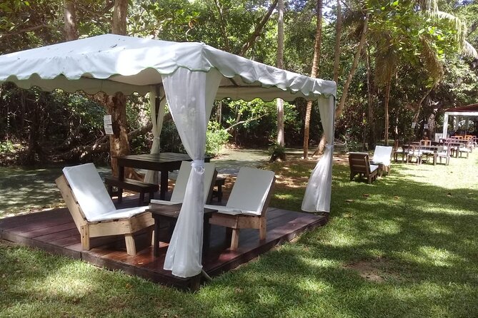 Blue Hole and Dunn’s River Falls Tour with Lunch and Cocktails at Reggae Hill - Who should book this outing