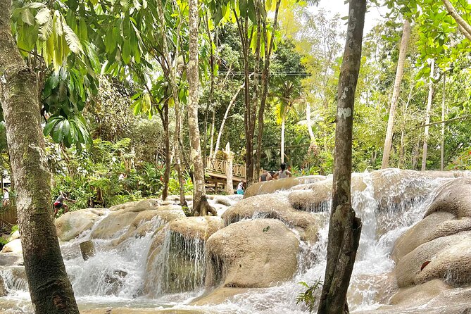 Blue Hole and Dunn's River Tour (Entrance Fees Not Included) - Is the $40 price a good value?