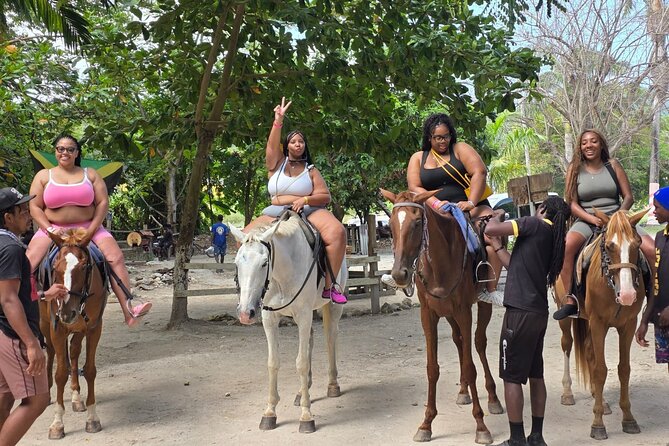 Blue Hole and Horse Riding with Swim Ocho Rios - The value of transport and guide support