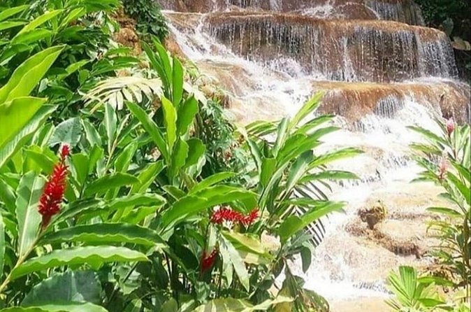 Blue Hole And Konoko Falls Combo Tour From Ocho Rios & Runaway Bay! - What to bring for the waterfalls