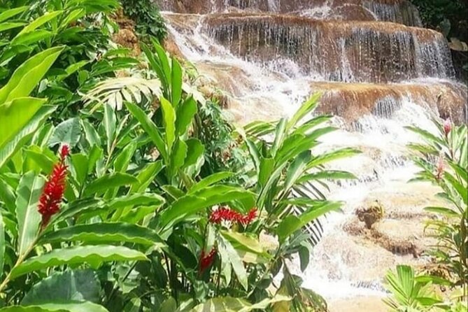 Blue Hole And Konoko Falls Combo Tour From Ocho Rios & Runaway Bay! - Is $95 a fair price?
