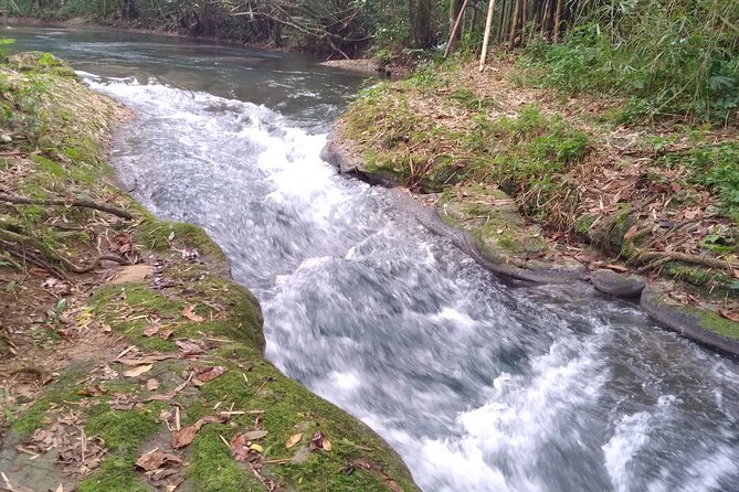 Blue Hole and River Tubing Combo from Ocho Rios - Guides, drivers, and the tone of the day
