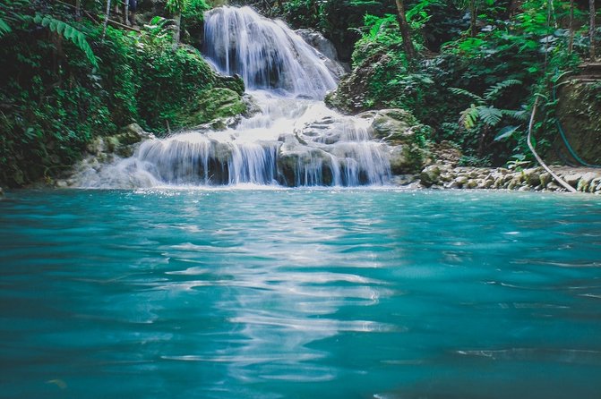 Blue Hole and Secret Falls plus Luminous Lagoon Tour - Private transport and the role of your driver