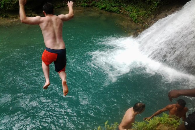 Blue Hole, Dunn's River Falls Luminous Lagoon Excursion From Montego Bay - Key points to know before booking