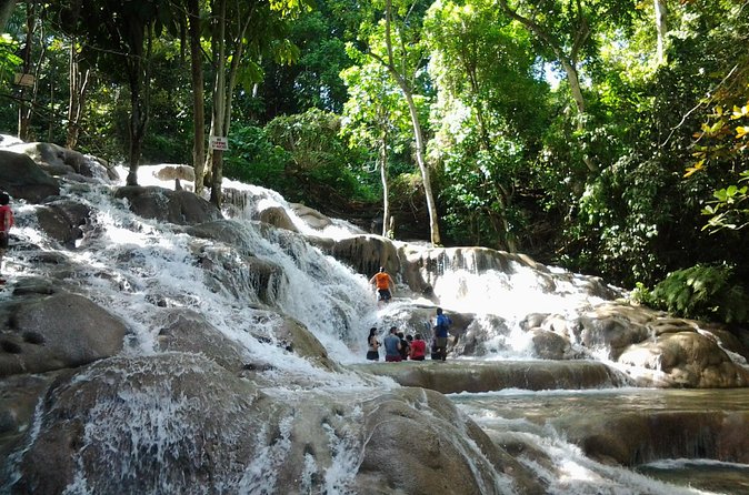 Blue Hole, Dunn's River Falls Luminous Lagoon Excursion From Montego Bay - What the $210.33 price covers