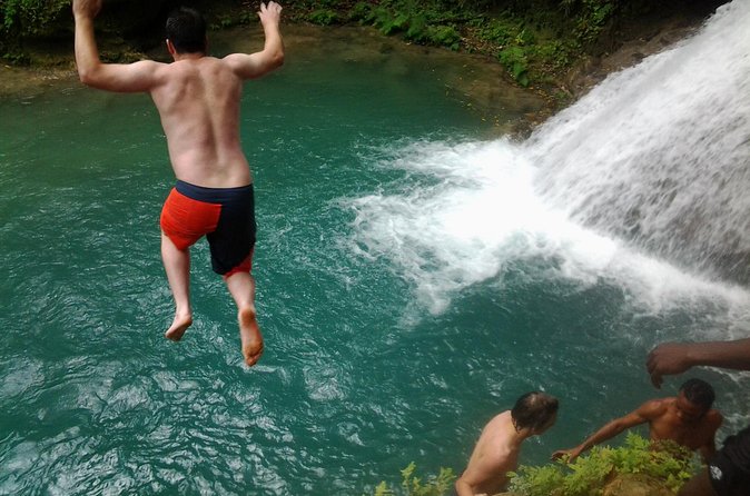 Blue Hole, Dunn's River Falls Luminous Lagoon Excursion From Montego Bay - Who should book this excursion