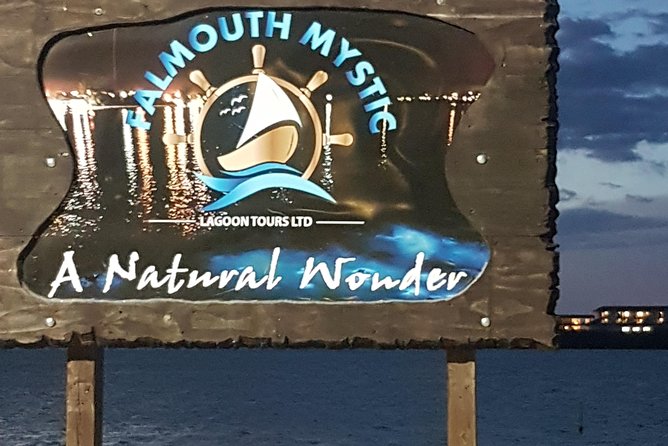 Blue Hole, Dunn's River Falls Luminous Lagoon Excursion From Montego Bay - Practical advice for getting the most from the day