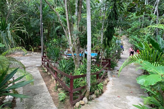 Blue Hole & Dunn's River Falls with Lunch from Negril - Lunch is useful, but bring dry clothes