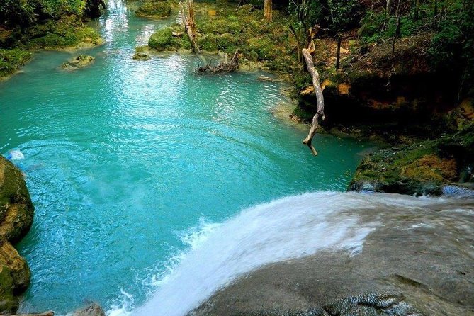Blue Hole & Jamaica Sightseen Tour Included Transportation - Why the driver matters so much