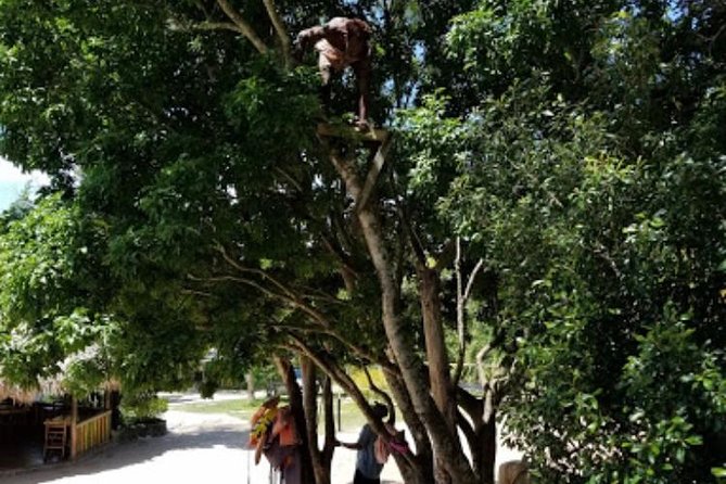 Blue Hole Mineral Spring and Ricks Cafe Private Tour - Ricks Cafe is about the cliffs, music, and sunset