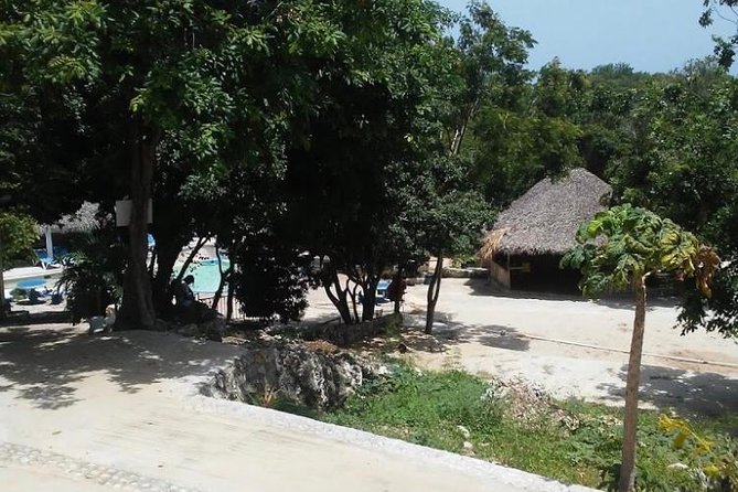 Blue Hole Mineral Spring and Ricks Cafe Private Tour - Who will enjoy this combination most