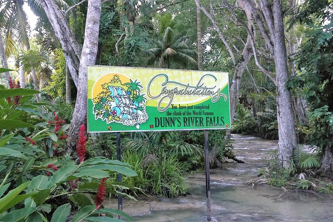 Blue Hole plus Secret Falls and Dunns River Falls Combo from Runaway Bay Hotels - Blue Hole begins with jumps, ropes, and cool mountain water