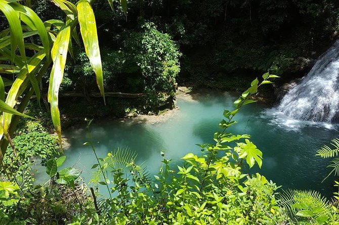 Blue Hole Tour from Ocho Rios - Key points to know before booking