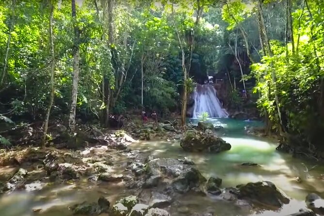 Blue Hole Waterfalls and Rasta Garden from Montego Bay - Practical planning for the morning