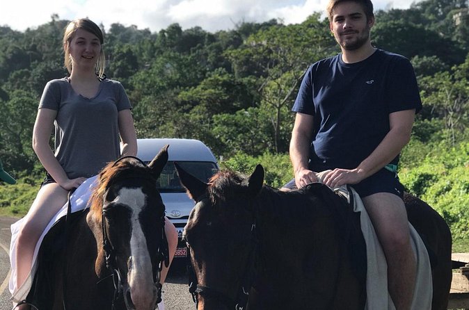 Blue hole waterfalls + horseback riding from Montego bay - Horseback riding from trail to beach