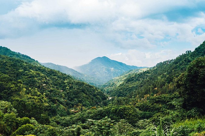 Blue Mountain Bicycle Tour - Forest stops, birds, flowers, and views toward Kingston