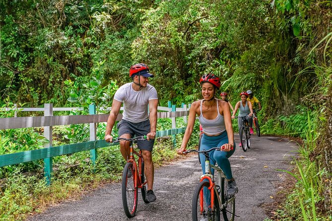 Blue Mountain Bicycle Tour - Lunch, then a cold waterfall swim