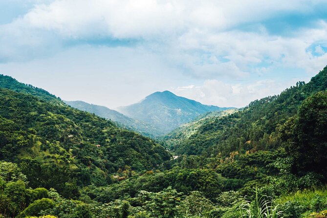 Blue Mountain Bicycle Tour - Who will enjoy this day most