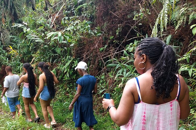Blue Mountain Sight-Seeing & Nature Trail Hike with Private Guide - Key points to know before you book