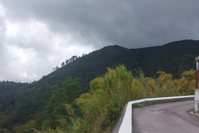 Blue Mountain Sight-Seeing & Nature Trail Hike with Private Guide - Four hours among the trails at Holywell Park