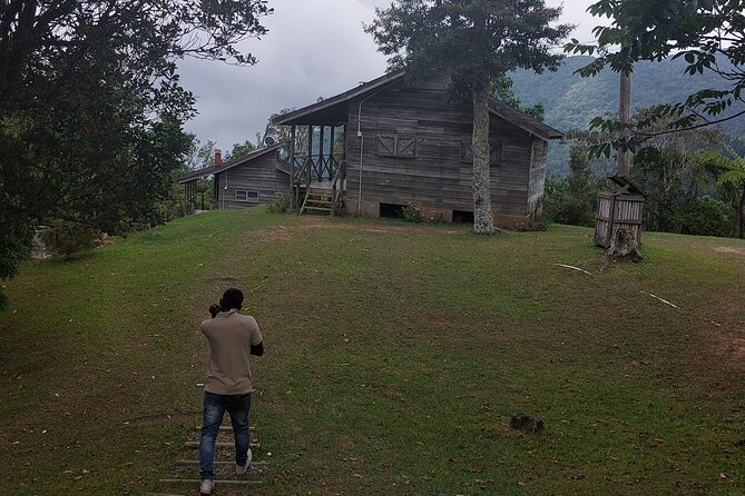 Blue Mountain Sight-Seeing & Nature Trail Hike with Private Guide - What the private guide adds