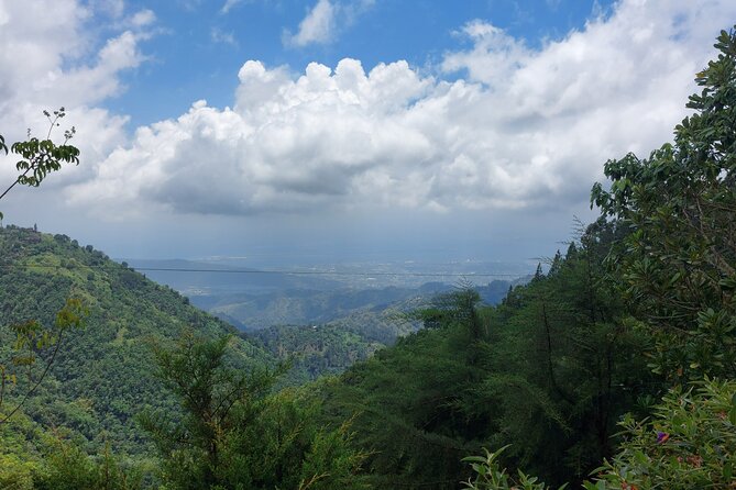 Blue Mountain Sight-Seeing & Nature Trail Hike with Private Guide - Is $200 per person good value?