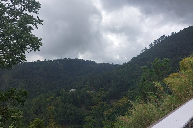 Blue Mountain Sight-Seeing & Nature Trail Hike with Private Guide - Views, photos, and the pace of the day