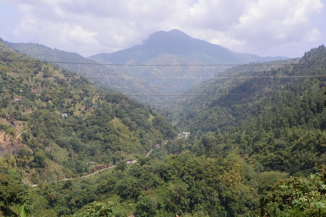 Blue Mountain Tour with Hotel Transportation - Key points at a glance
