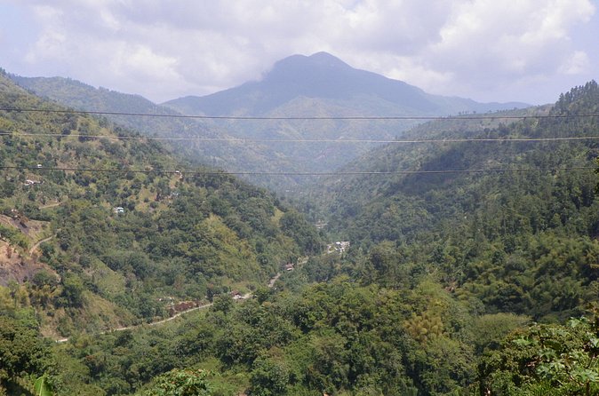 Blue Mountain Tour with Hotel Transportation - Is the tour really private?