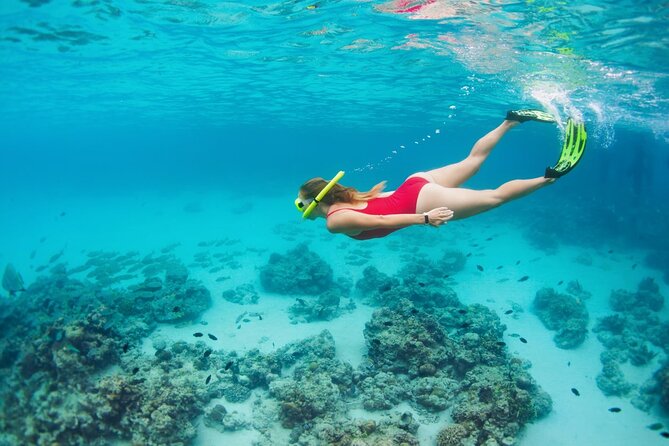 Boatride & Snorkeling then Margaritaville Hipstrip Activity - Time to Relax on the Hip Strip