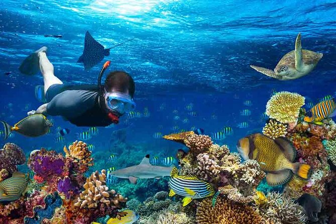Boatride & Snorkeling then Margaritaville Hipstrip Activity - Souvenirs and a Short Look at Montego Bay