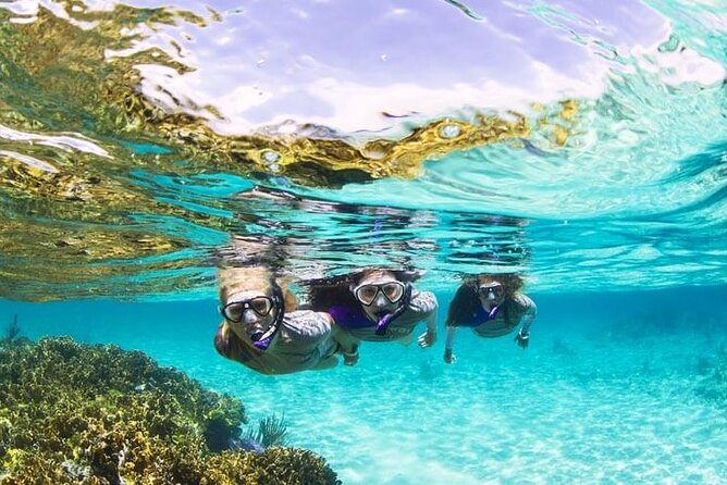 Boatride & Snorkeling then Margaritaville Hipstrip Activity - The Boat Ride and Reef Stop