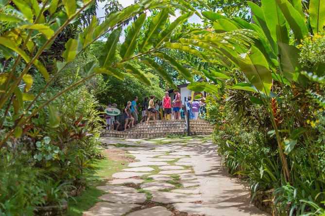 Bob Marley 9 Mile Tour Admission - Music, atmosphere, and the fun side of the visit