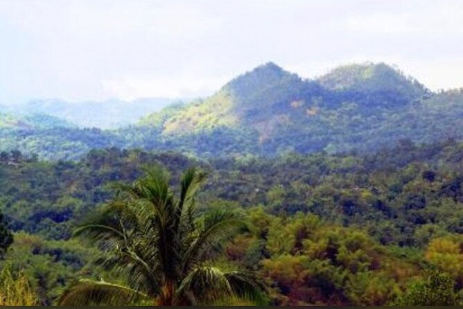 Bob Marley Nine Mile Home Private Tour from Montego Bay - Key Points to Know Before You Go