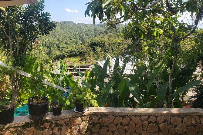 Bob Marley Nine Mile Home Private Tour from Montego Bay - Is Four to Five Hours Enough?