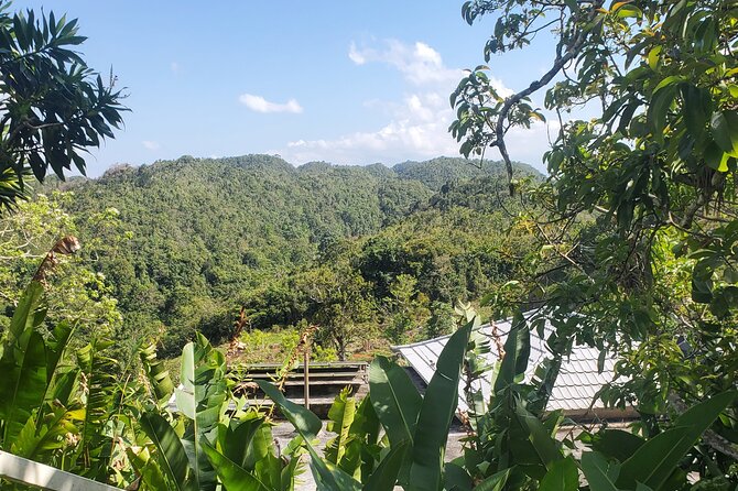 Bob Marley Nine Mile Home Private Tour from Montego Bay - Who Will Get the Most From This Trip?