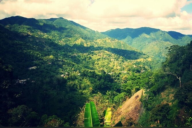 Bob Marley Nine Mile Home Private Tour from Montego Bay - The Drive From Montego Bay to the Hills