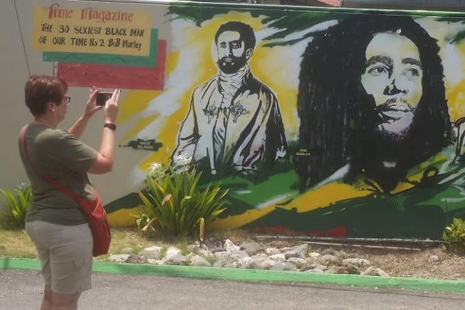 Bob Marley's Nine Mile & Dunns River Falls Tour: Transportation & Ticket - Who will enjoy this combined itinerary?