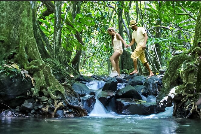 Bush Hiking to explore Wild Plants & Fresh Fruits,Montego Bay - Following the trail toward the spring waterfall