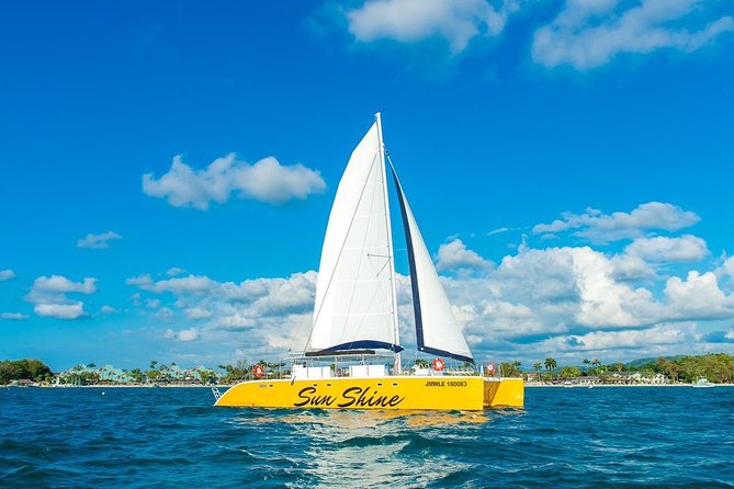 Catamaran Cruise Full Day Tour to Reef, Caves and Negril Beach - Reggae, drinks, and the boat-party mood