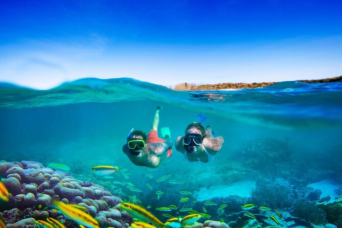 Catamaran Party Cruise and Snorkeling from Montego Bay - Who will enjoy this catamaran outing most