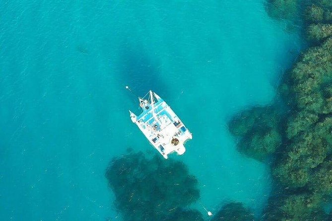 Catamaran, snorkeling & Dunn's River Falls - Key points to know before you book