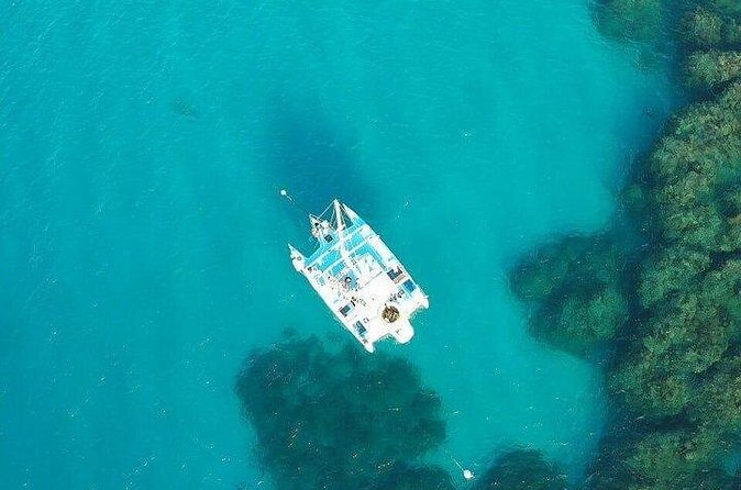 Catamaran, snorkeling & Dunn's River Falls - Why the guides and drivers matter
