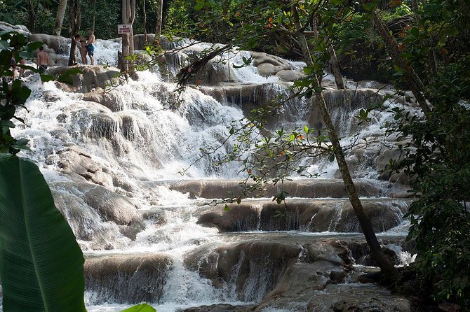 Chuck Norris Secret Falls and Dunn's River Falls - Starting from Montego Bay or Falmouth