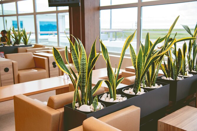 Club Mobay Sangster Airport VIP Lounge with Priority Entry - Food, drinks, Wi-Fi, and the practical comforts